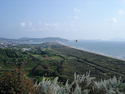 m7_cuma-gullview2765