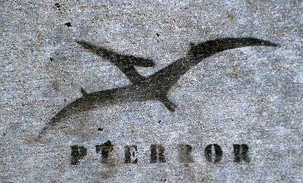 pterror-5082