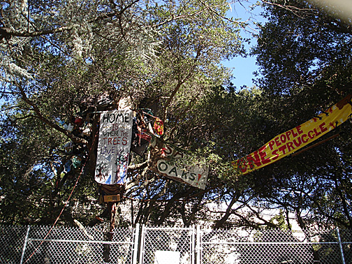 treesit8386