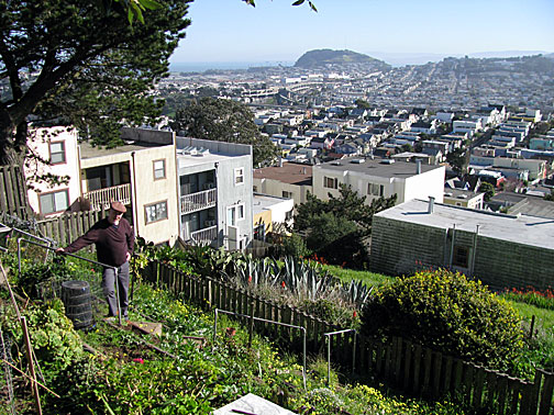 cc-in-garden-so-side-bernal0319
