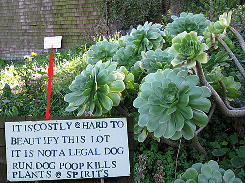poop-sign0330