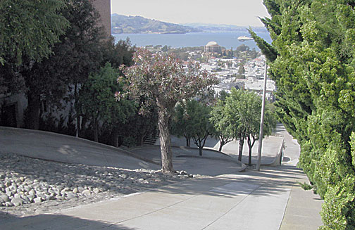 view-north-from-Buchanan_0887