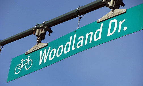 bikeway-woodland_2665