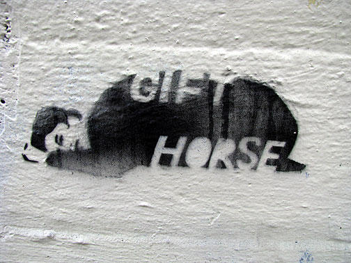 gift-horse_2594