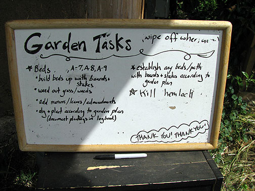 maitreya-garden-tasks_2317