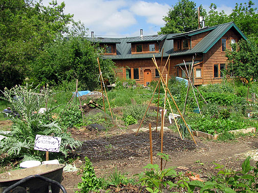 maitreya-triplex-and-garden_2311