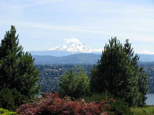 mt-hood-from-medos-home_2485