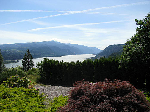 view-up-gorge-from-Medos-home_2486