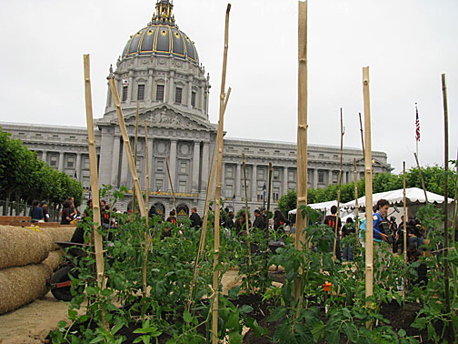 j13_plants-w-cityhall_3183