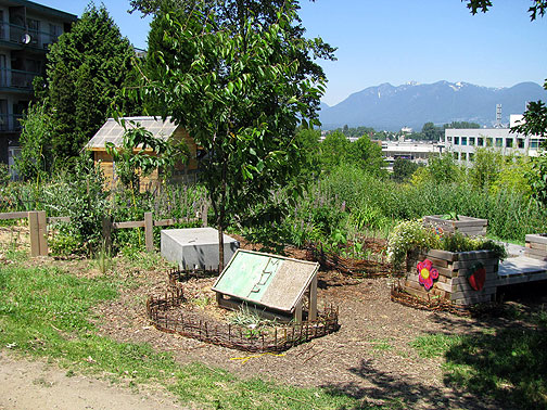 mop-view_2778