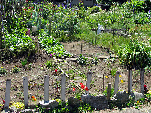 st-catharines-garden_2787