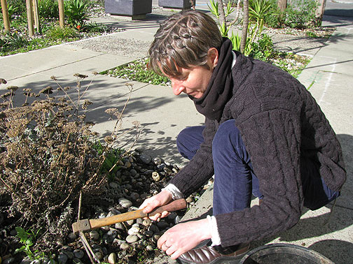 jane-cu-gardening_5826 Jane Martin, hands in soil.