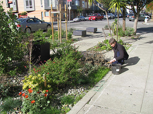 jane-gardens-bulb_5828 Jane Martin works the sidewalk extension at 23rd and Harrison.