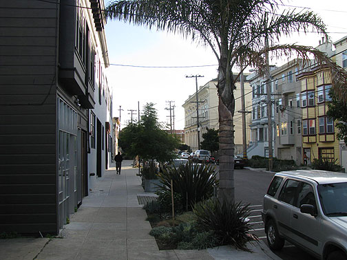 orig-sidewalk-garden-w-palm-longer-view_5919 Jane Martin's original garden on Shotwell between 17th and 18th.