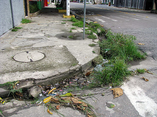 overgrown-curb-corner-2_6323 Not for the wheelchair users! Barely for pedestrians and cyclists!