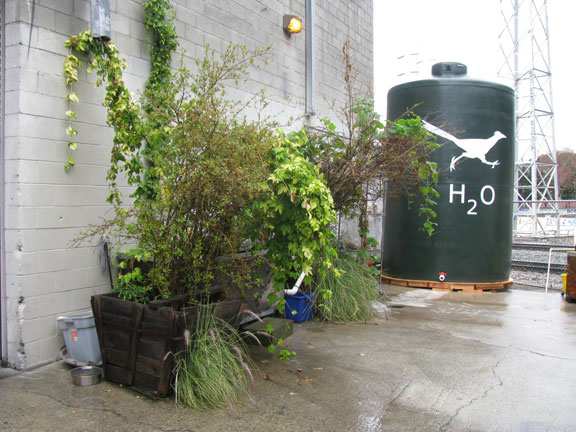 farmlab-rain-harvesting_7122 Permaculture rain harvesting at FarmLab.