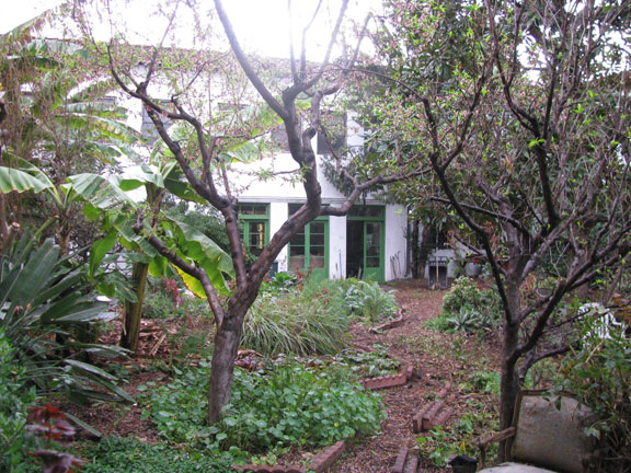 laev-garden-shot_7162 Ecovillage back yard.
