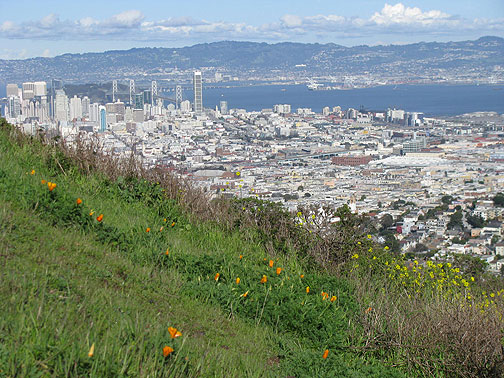 twin-peaks-spring-flowers-and-bbridge_7470 Spring flowers and green grass are blanketing local hilltops now.