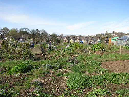 allotment-and-castle-and-girl-w-wheelbarrow_8718 Working the garden on a beautiful day...