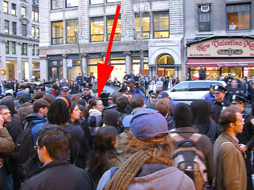 ny-francesca-in-scuffle_8889 Here's Francesca in a scuffle on 5th Avenue, but she avoided arrest this time!