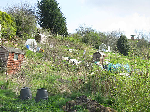 royate-hill-big-view_8276 Royate Hill Allotments.