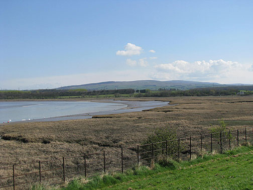 saved-river-lune-wetlands_8746 This wetland saved from a motorway some years ago.