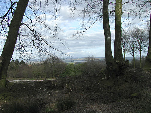 view-from-ridgetop-near-centre-for-contemporary-art-and-the-natural-world_8351 View from the ridgetop back towards Exeter.