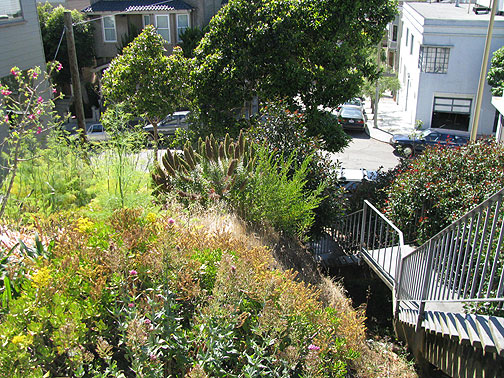 bernal-kingston-stairs_9982 Kingston stairs on west side of Bernal, older and more established.