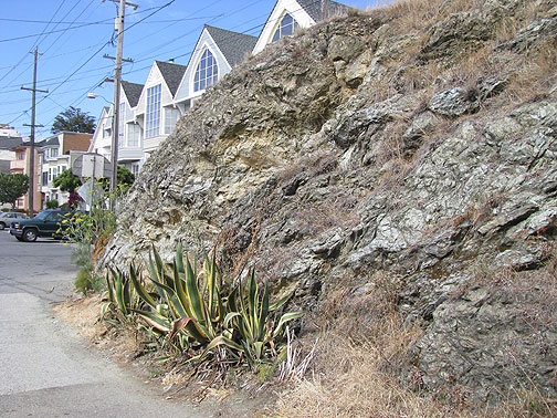 bluff-and-cactus-Kansas-and-apx-21st_0440 A bit of Potrero Hill on Kansas, hidden from through traffic.