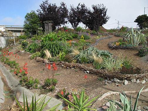 pc-garden-18th-and-ct_0485 Another view of the new garden.