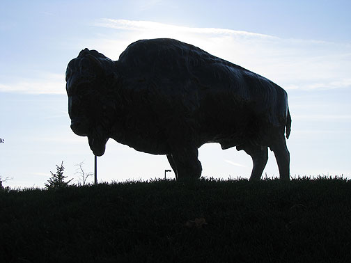 buffalo-silhouette_2699 Buffalo, an animal and a city...