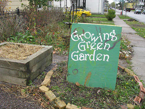 growing-green-garden_2646 There are over 80 community gardens in Buffalo.