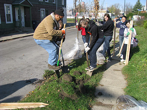 jump-digging-a-hole_2715 Jump digging in soil that had been near freezing the day before.