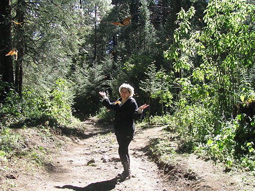 Adriana on the trail from where we left our horses, butterflies swirling all about.