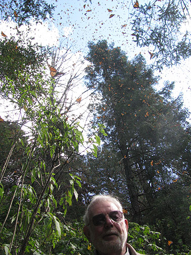 dad-at-top_4432 My father at the very top of the climb! Wow! 77 years old and never rode a horse! What a trooper!