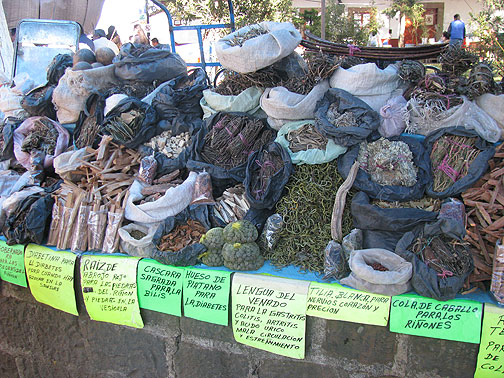 medicinal-herbs-in-patzcuaro-market_4336 Outside a town cathedral, a busy market sold many tourist items, but for those in pain or ill after a visit to church, there were a couple of competing medicinal herb booths.