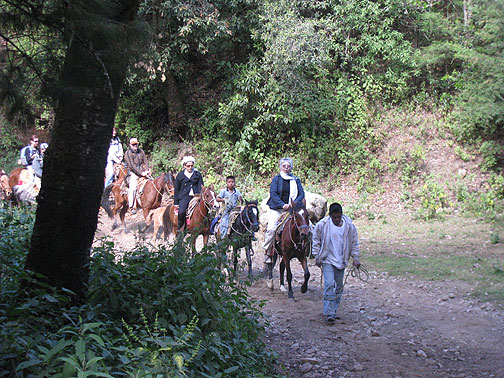 mom-and-adri-on-horses_4391 My mom and Adriana coming up the trail... but my mother's sciatica was killing her so she had to stop a bit before the top... still she got to sit among the flowing rivers of butterflies too!