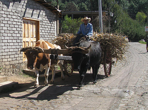 oxcart-in-zirahuen-closer_4362 Oxcart on hand-paved road between Zirahuen and Santa Clara del Cobre.