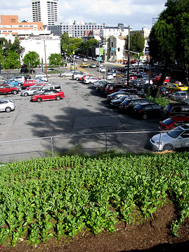 fava-w-market-and-vanness-in-distance_6528