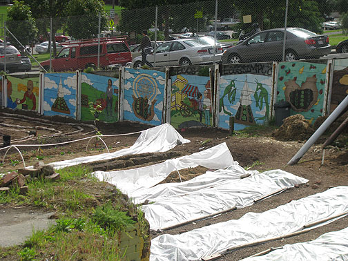 free-farm-covered-beds-along-gough_6495