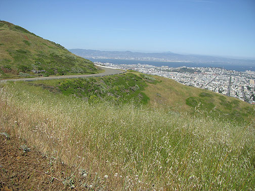view-across-southern-slopes-twin-peaks_7182