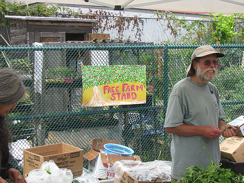 free-farm-stand-w-tree_7960