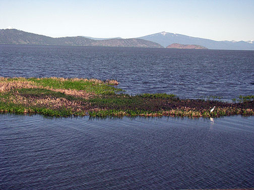 snowy-volcano-and-heron-on-klamath-lake_8029