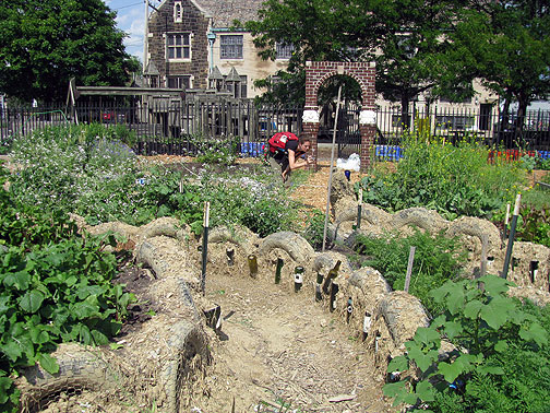 spirit-of-hope-community-garden-w-lr-taking-pics_8363