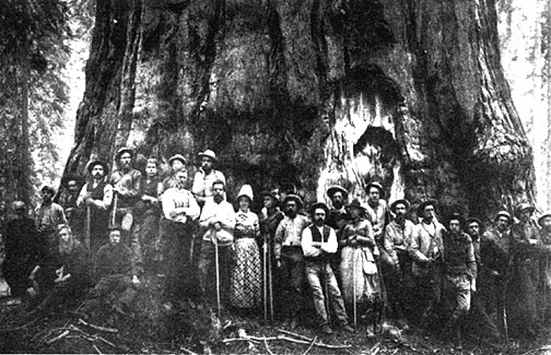 kaweah-coop-in-front-of-karl-marx-tree