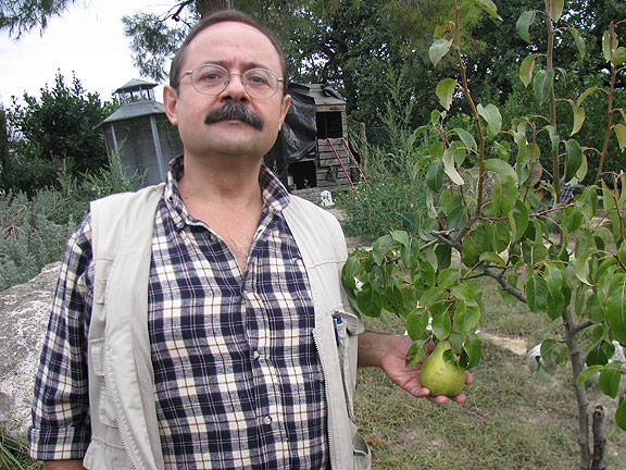 mario-w-pear_0170