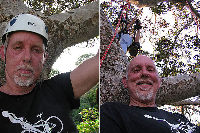 cc-in-tree-grumpy-and-smiling-combined