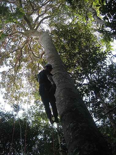 cc-short-way-up-tree-jeri-foto_5825