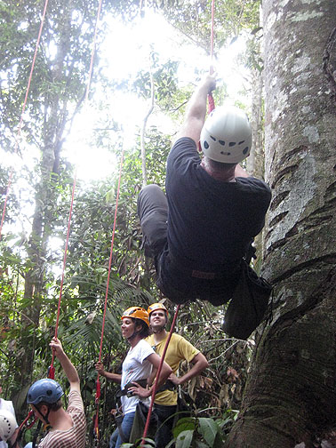 cc-tree-climbing-from-behind_5819