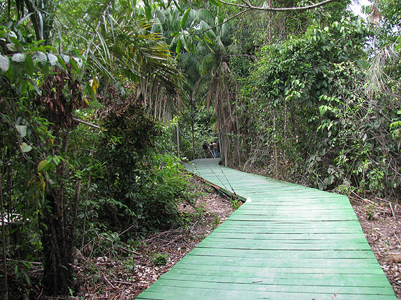 green-wooden-ramp-to-walk-to-hotel_0950
